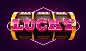488bet win